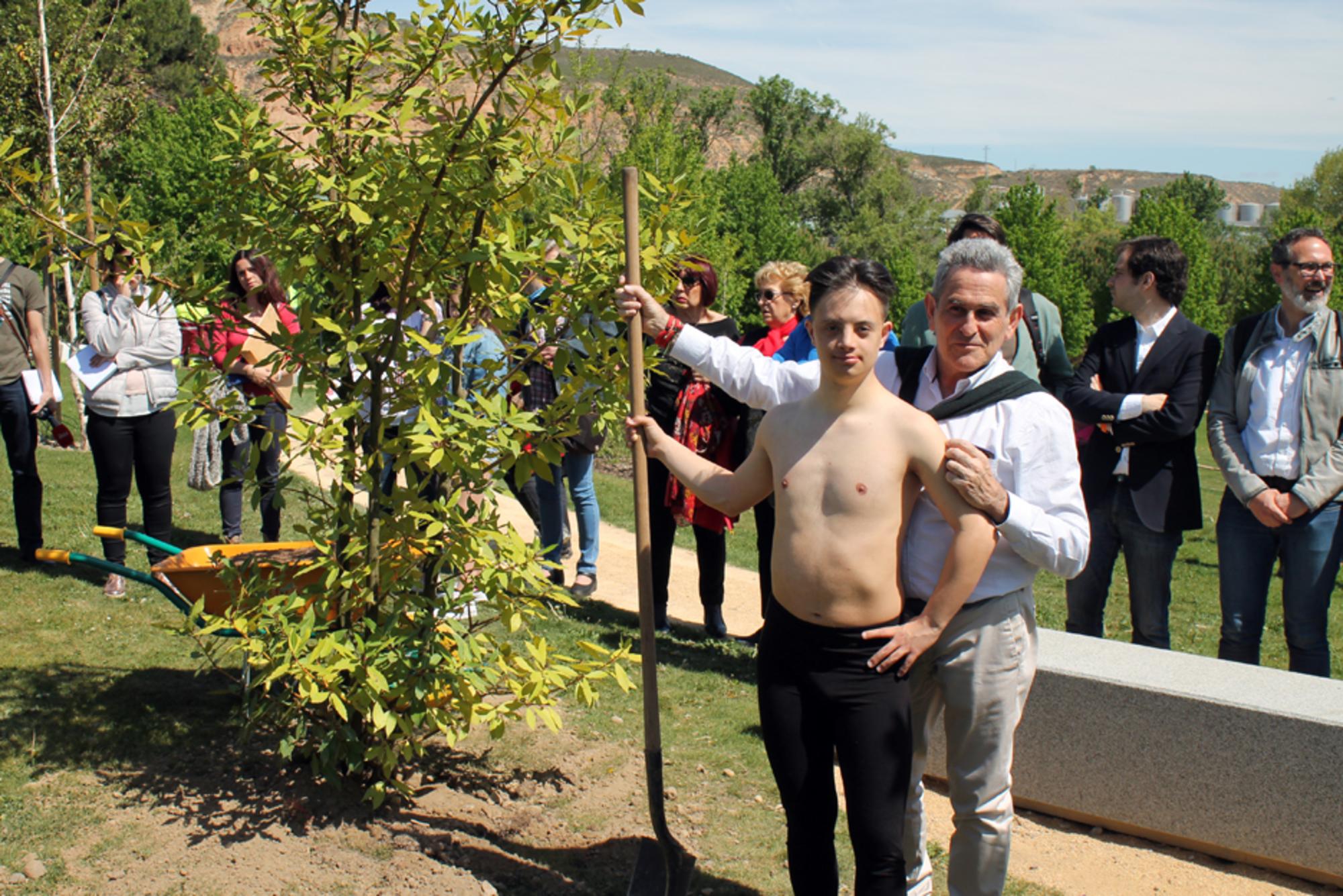 Bosque de la danza 1